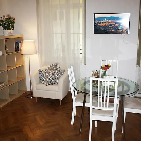 Cozy Loft At Nagymezo Apartment